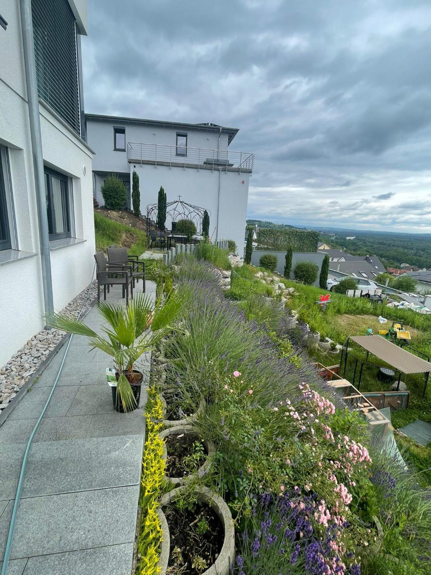 Vogesenblick Apartment Bad Bellingen Ngoại thất bức ảnh